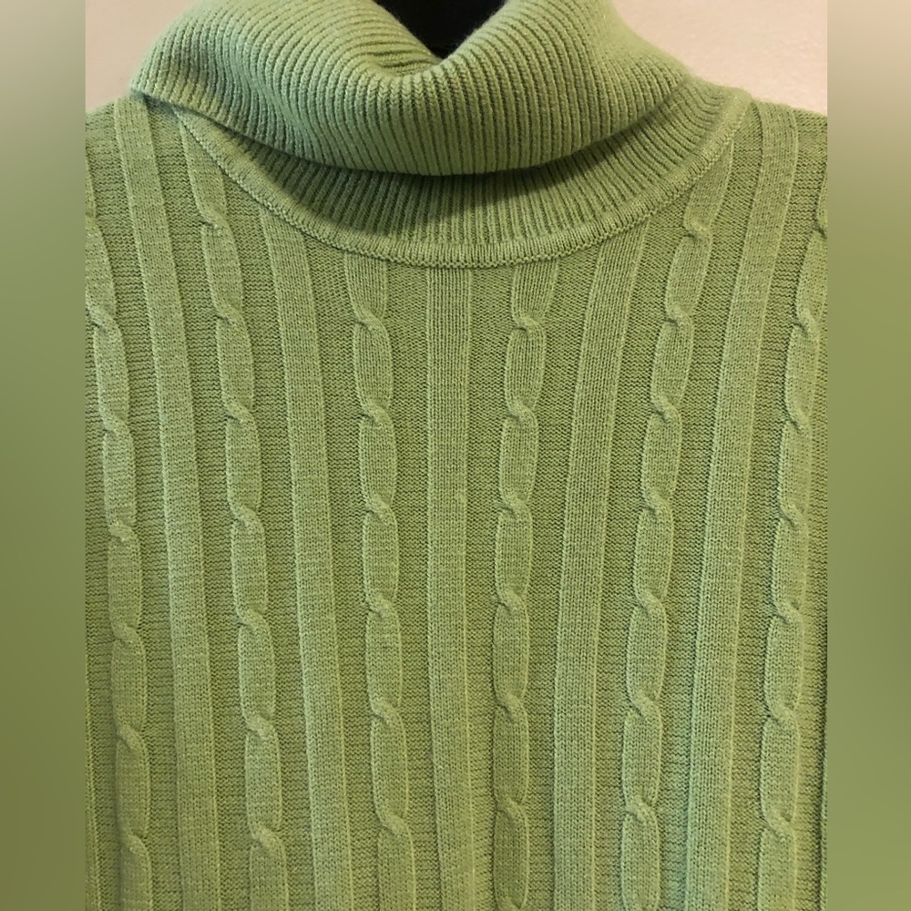 Izod Turtle Neck Sweater. Medium